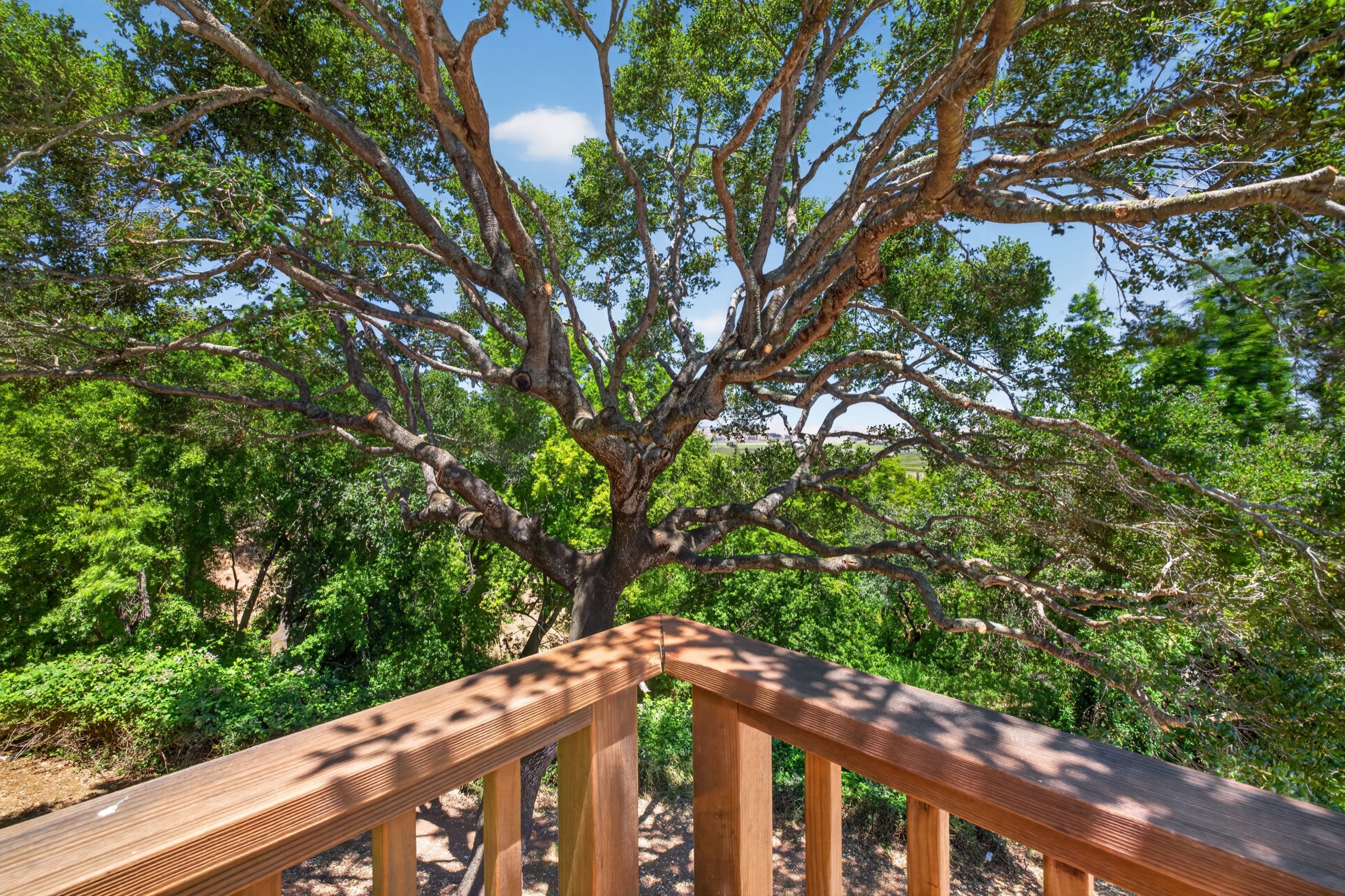 Property photo 54